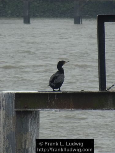 Hamburg - An der Elbe